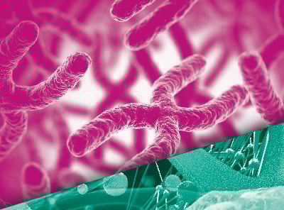 9. Citogenética-Imagen_XXV-JC