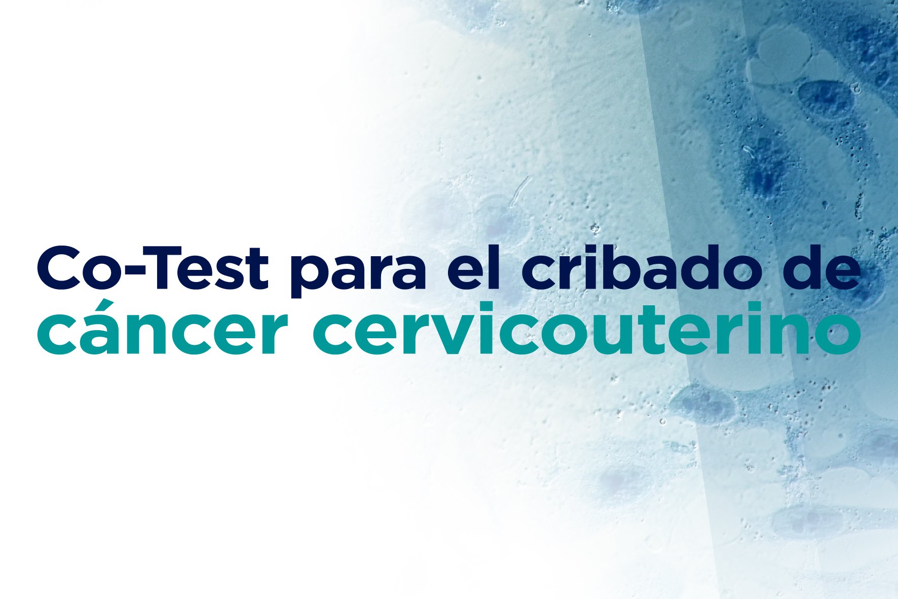 Co-Test