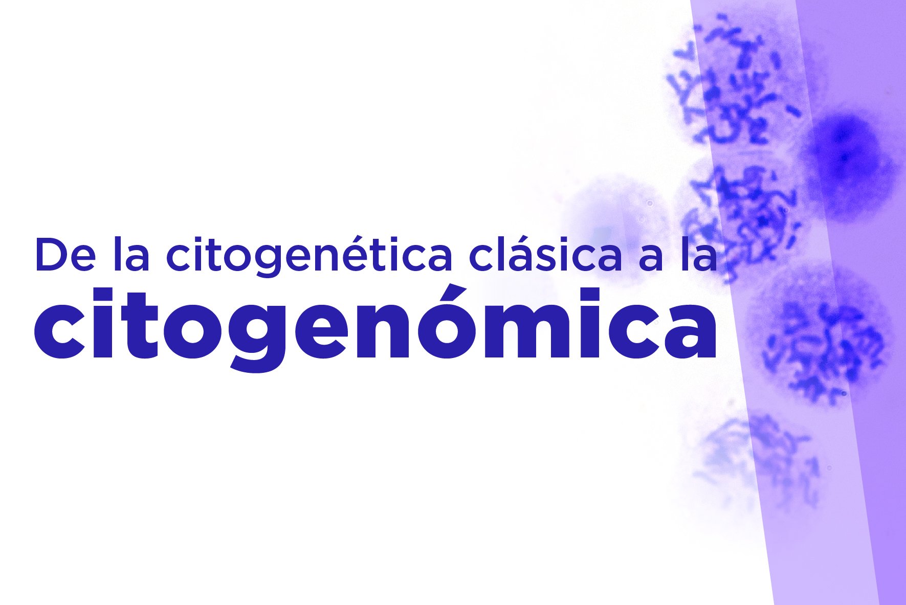 De la citogenetica clasica