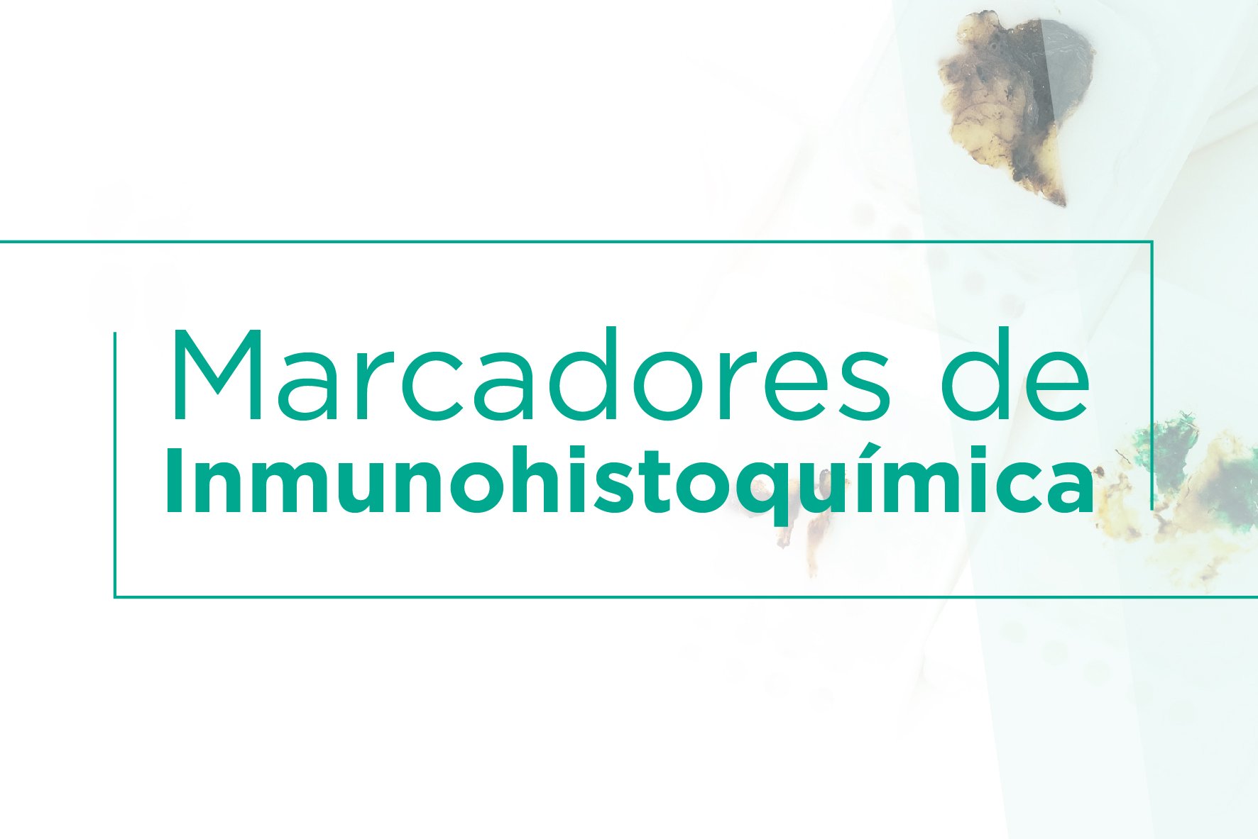 Marcadores de inmunohistoquimica