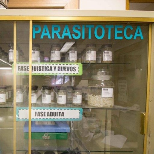 Parasitología 2