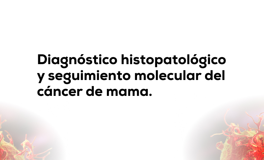 Banner conferencia CARPERMOR