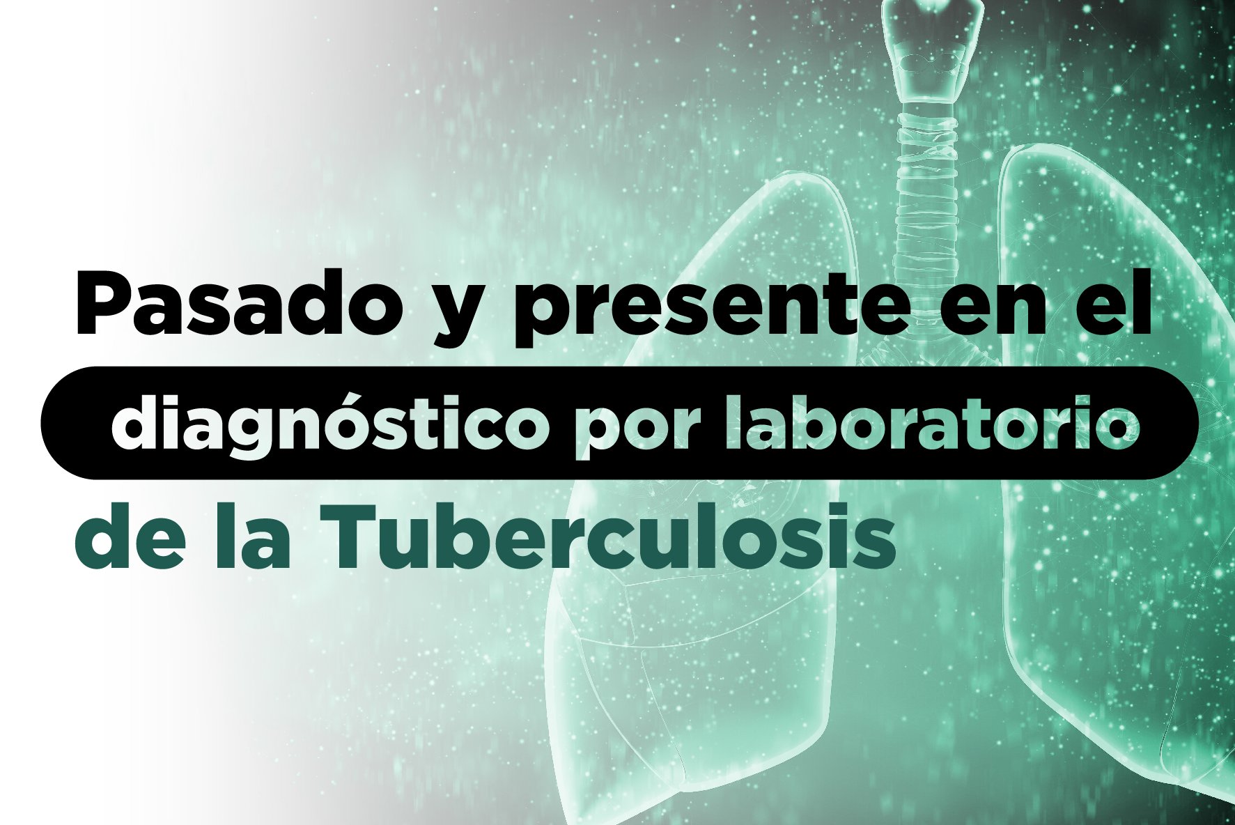 Tuberculosis